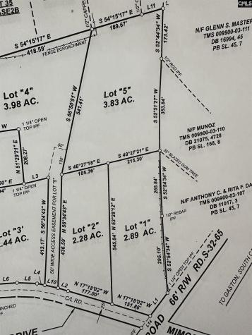 223 Mimosa Drive Gaston SC 29053