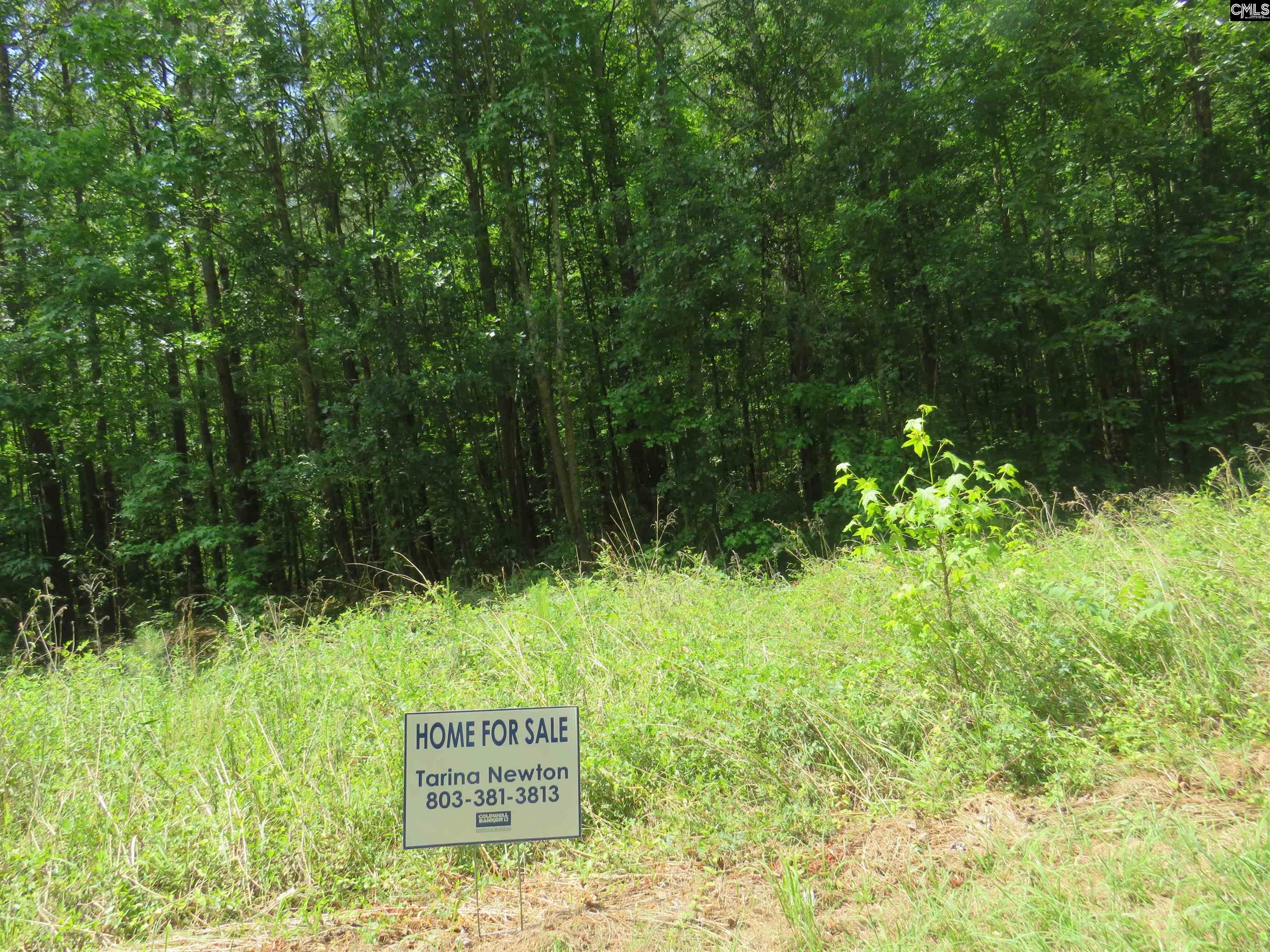 S/s Old Eastover Road Eastover SC 29044