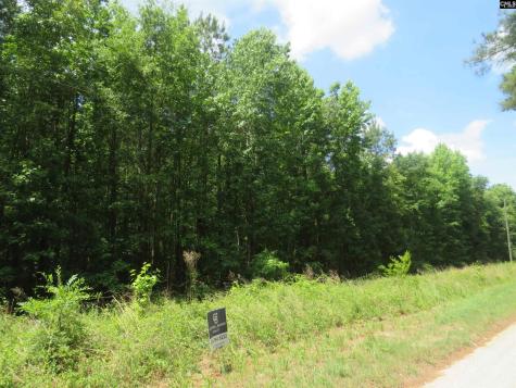 S/s Old Eastover Road Eastover SC 29044