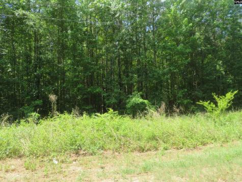 S/s Old Eastover Road Eastover SC 29044
