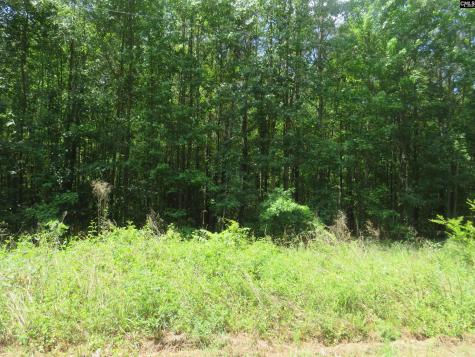 S/s Old Eastover Road Eastover SC 29044