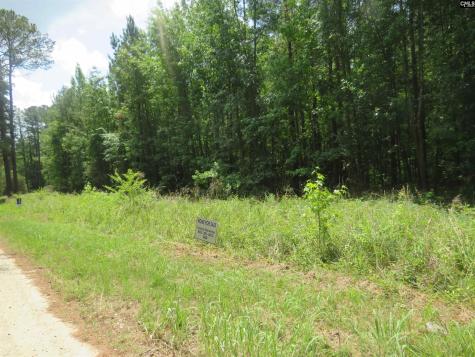 S/s Old Eastover Road Eastover SC 29044