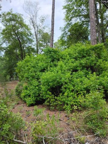 107 Lorick Circle Lexington SC 29072