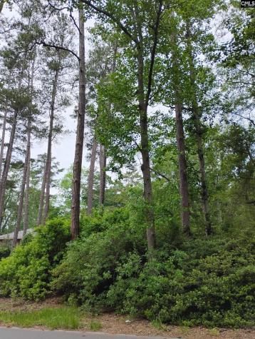 107 Lorick Circle Lexington SC 29072