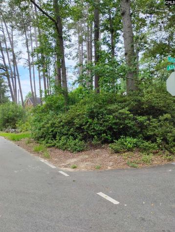 107 Lorick Circle Lexington SC 29072