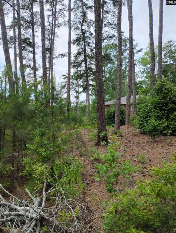 107 Lorick Circle Lexington SC 29072