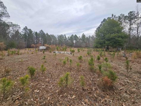 722 Jeff Sharpe Road Gaston SC 29053