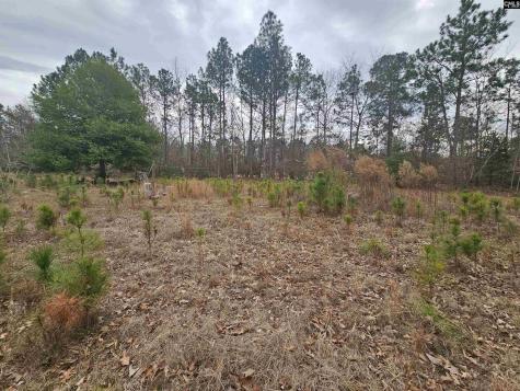 722 Jeff Sharpe Road Gaston SC 29053