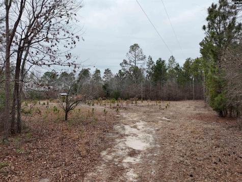 722 Jeff Sharpe Road Gaston SC 29053