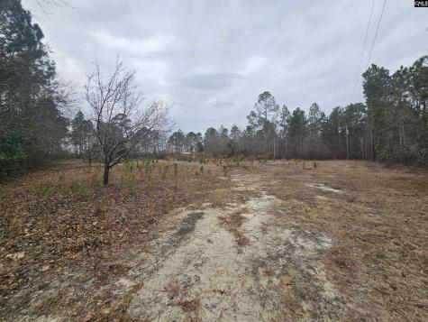 722 Jeff Sharpe Road Gaston SC 29053