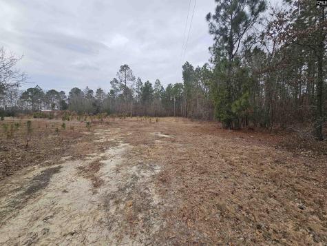 722 Jeff Sharpe Road Gaston SC 29053