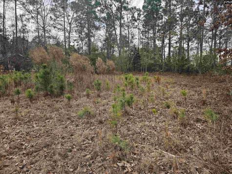 722 Jeff Sharpe Road Gaston SC 29053