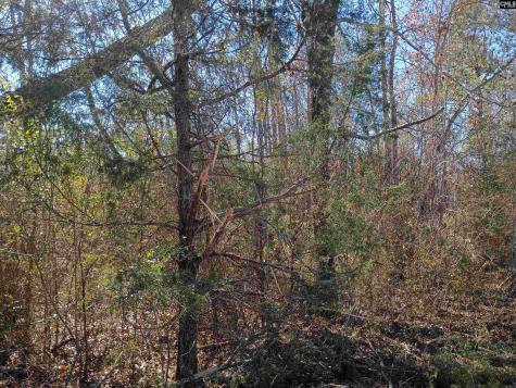 1163 Juneberry Road Camden SC 29020