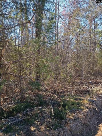 1163 Juneberry Road Camden SC 29020