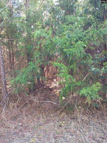 1163 Juneberry Road Camden SC 29020