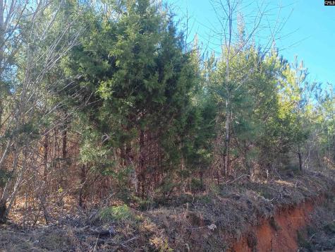 1163 Juneberry Road Camden SC 29020