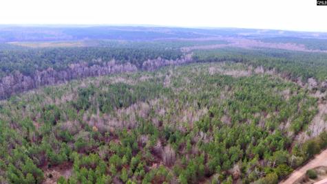 1163 Juneberry Road Camden SC 29020