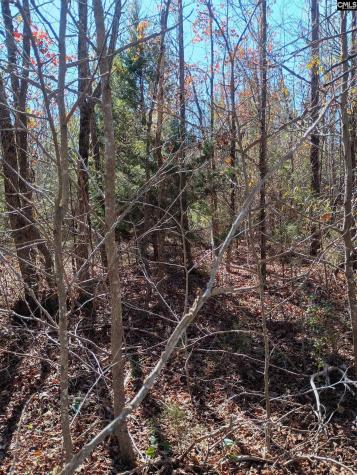 1163 Juneberry Road Camden SC 29020