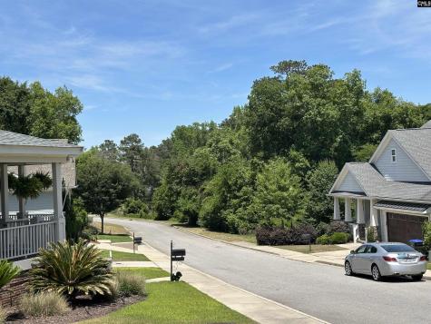 126 Mayhaw Drive Columbia SC 29206