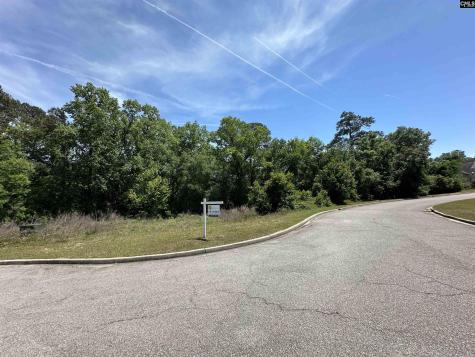 126 Mayhaw Drive Columbia SC 29206