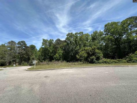 126 Mayhaw Drive Columbia SC 29206