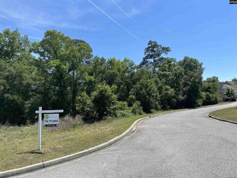 126 Mayhaw Drive Columbia SC 29206
