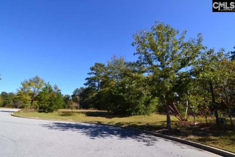 6 Blythe View Court 14 Blythewood SC 29016