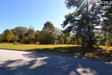 6 Blythe View Court 14 Blythewood SC 29016