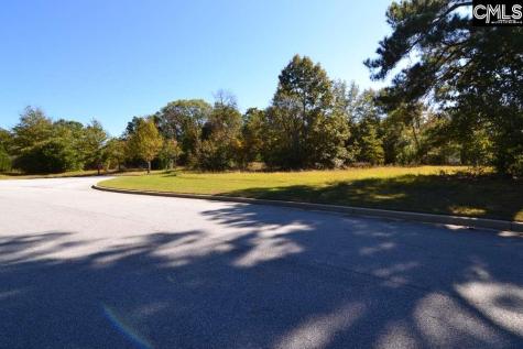 6 Blythe View Court 14 Blythewood SC 29016