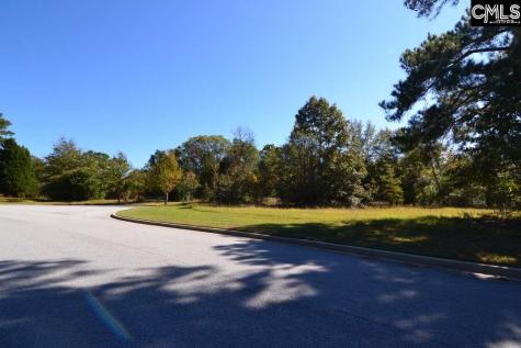 6 Blythe View Court 14 Blythewood SC 29016