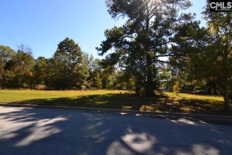 6 Blythe View Court 14 Blythewood SC 29016
