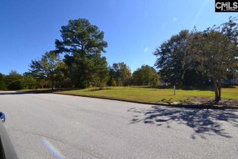 6 Blythe View Court 14 Blythewood SC 29016