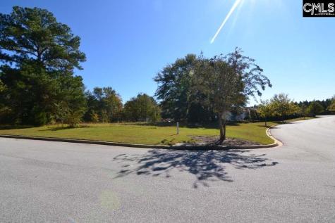 6 Blythe View Court 14 Blythewood SC 29016