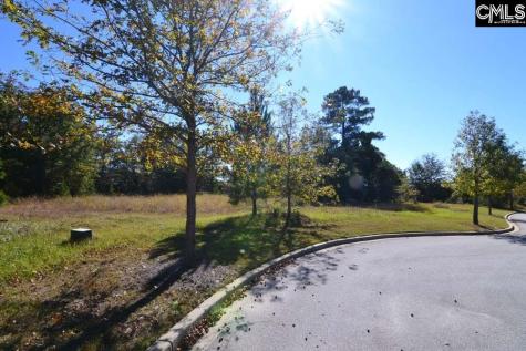 6 Blythe View Court 14 Blythewood SC 29016