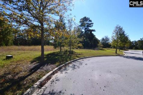 6 Blythe View Court 14 Blythewood SC 29016