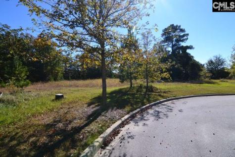 6 Blythe View Court 14 Blythewood SC 29016
