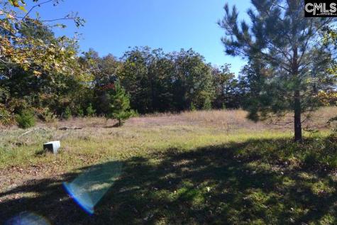6 Blythe View Court 14 Blythewood SC 29016