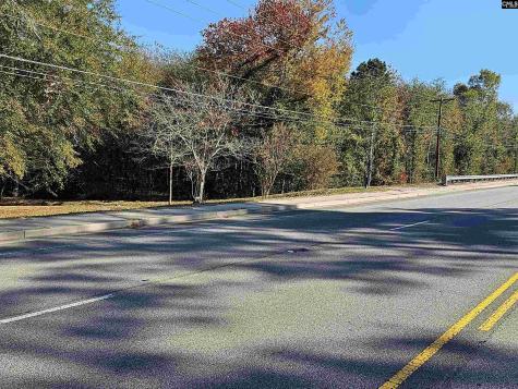 1607 South Lake Drive Lexington SC 29073