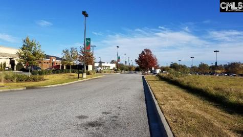Lot 1 Bo-tire Way / Highway 378 Lexington SC 29072