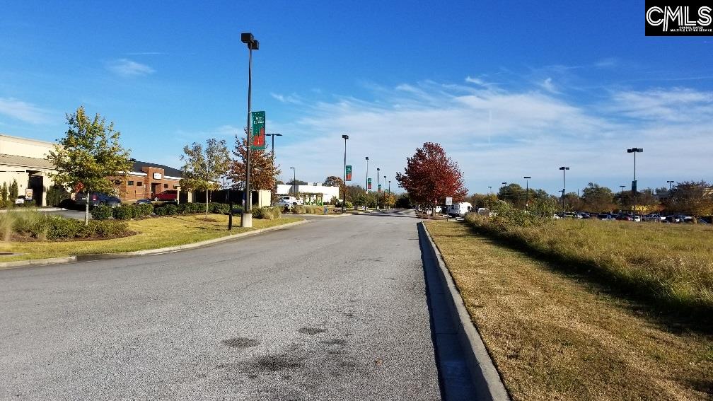 Lot 1 Bo-tire Way / Highway 378 Lexington SC 29072