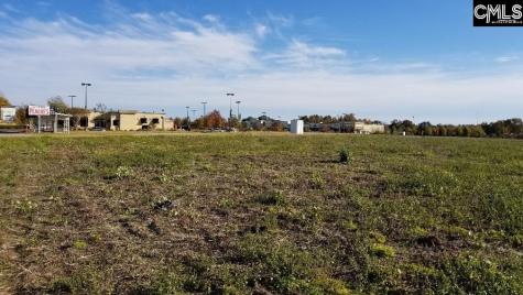 Lot 1 Bo-tire Way / Highway 378 Lexington SC 29072