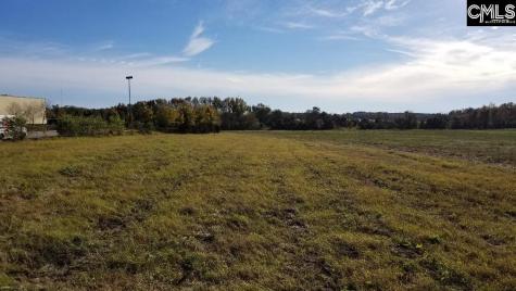 Lot 1 Bo-tire Way / Highway 378 Lexington SC 29072