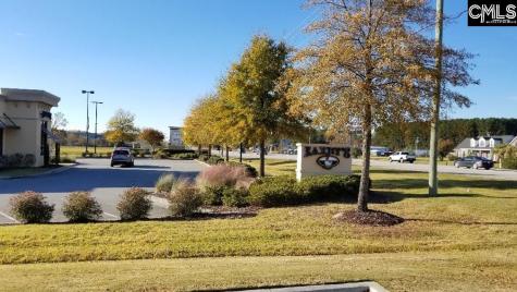 Lot 1 Bo-tire Way / Highway 378 Lexington SC 29072