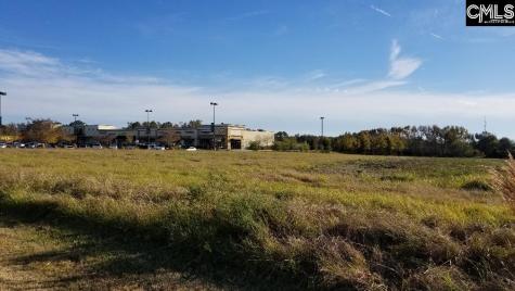 Lot 1 Bo-tire Way / Highway 378 Lexington SC 29072