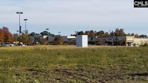 Lot 1 Bo-tire Way / Highway 378 Lexington SC 29072