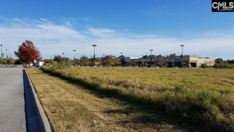 Lot 1 Bo-tire Way / Highway 378 Lexington SC 29072