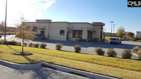 Lot 1 Bo-tire Way / Highway 378 Lexington SC 29072