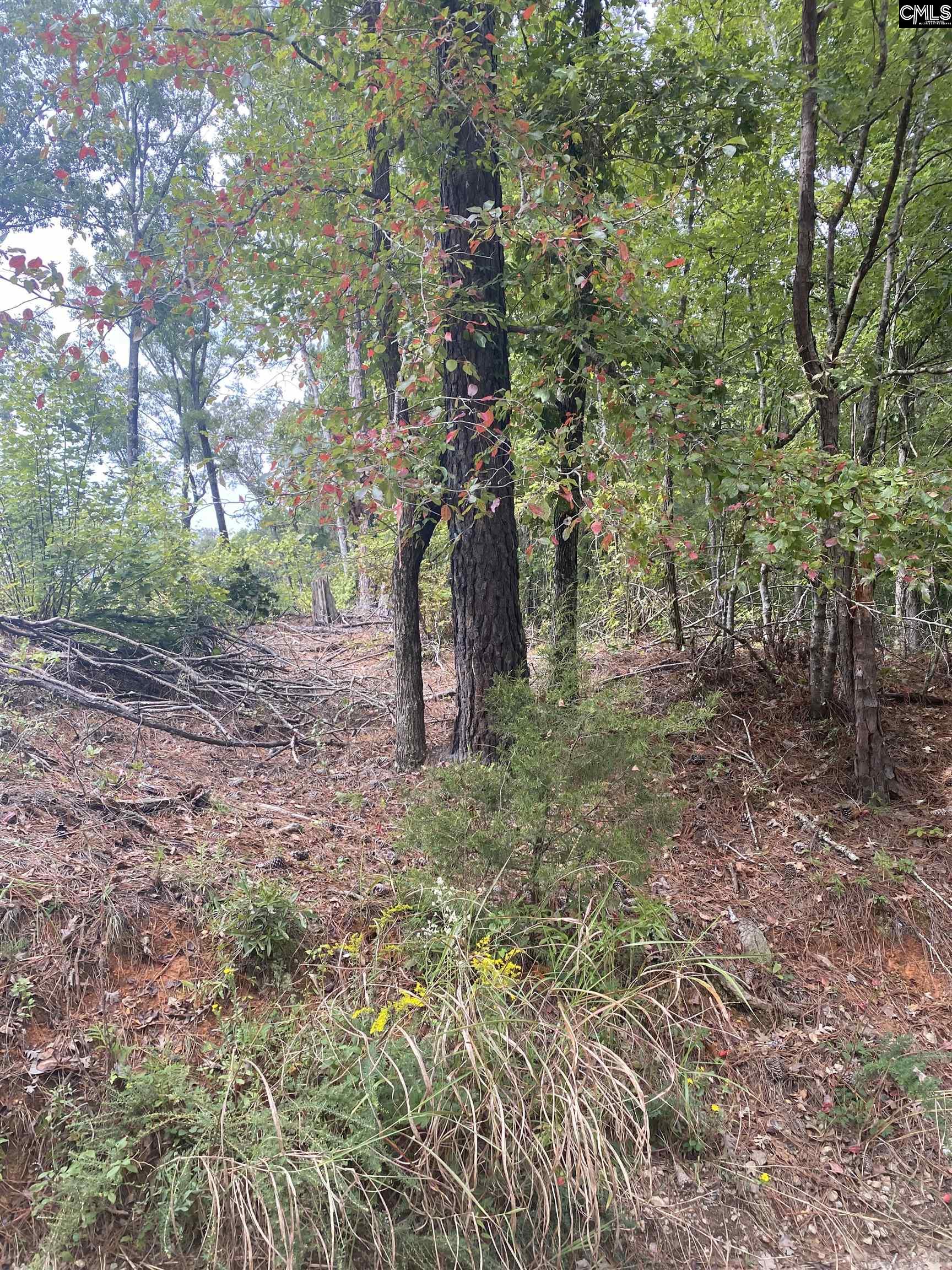 None Claude Bundrick SW Blythewood SC 29016