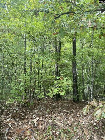 None Claude Bundrick SW Blythewood SC 29016