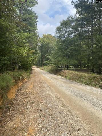 None Claude Bundrick SW Blythewood SC 29016